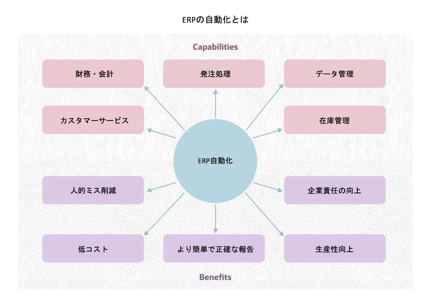 ERP Automation