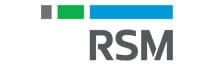 RSM DE Technology & Management Consulting GmbH logo