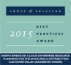 Frost & Sullivan's 2015 Customer Value Leadership Award