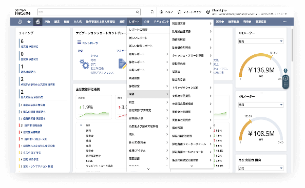 NetSuite Financial dashboard showing different financial reports options
