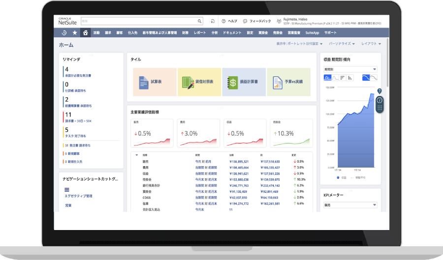 NetSuite financial management dashboard