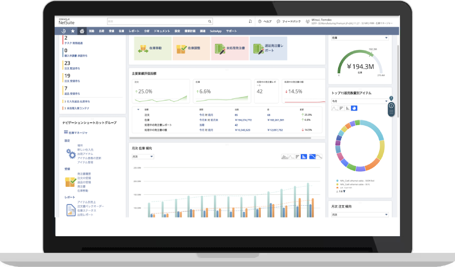 NetSuite inventory management dashboard