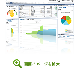 NetSuite - リアルタイム経営管理