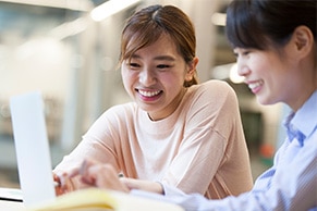 it introduction subsidy