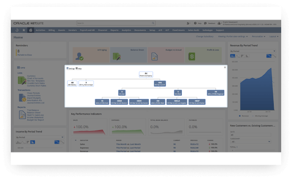 NetSuite Subsidary Navigator dashboard